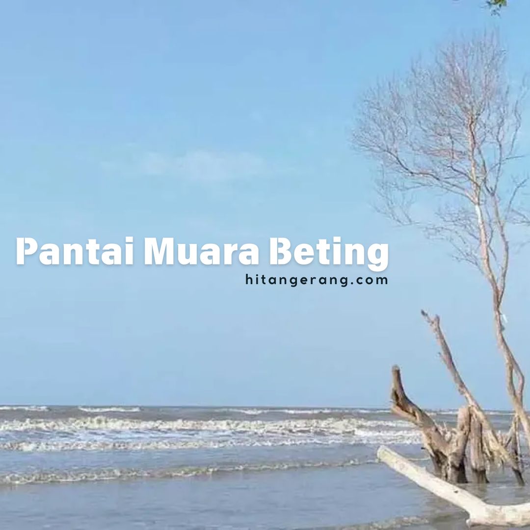 Pantai Muara Beting