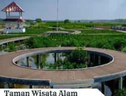 Taman Wisata Alam Mangrove Tangerang