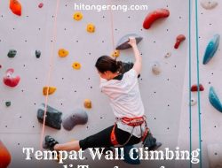 Rekomendasi Tempat Wall Climbing di Tangerang