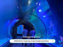 BXSEA Bintaro Tangerang: Tempat Nongkrong Kekinian