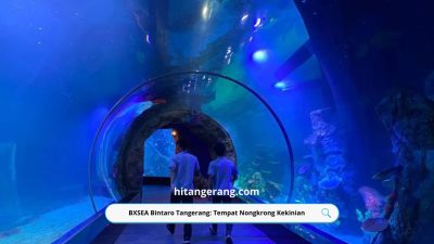 BXSEA Bintaro Tangerang: Tempat Nongkrong Kekinian dengan Suasana Santai